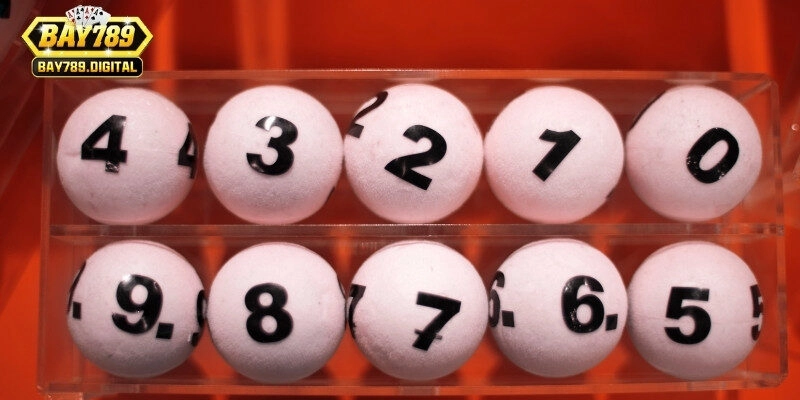 Cách nuôi lô đề ngắn hạn & Lưu ý quan trọng khi nuôi lô