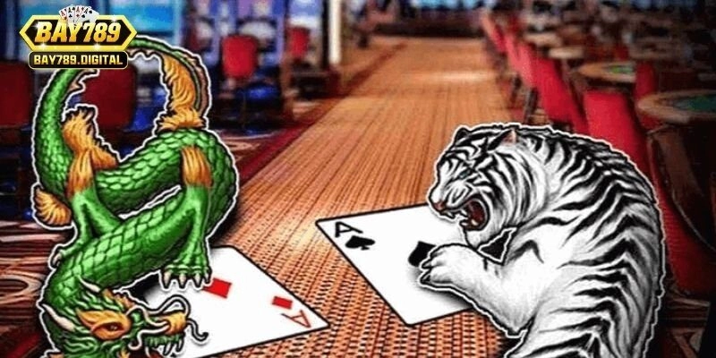 Những sai lầm phổ biến trong rồng hổ và cách khắc phục